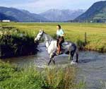 Reiten